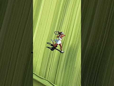Pure beauty 💚 Via Werner Bronkhorst / Instagram #tennis #wimbledon #art #beautiful #grass