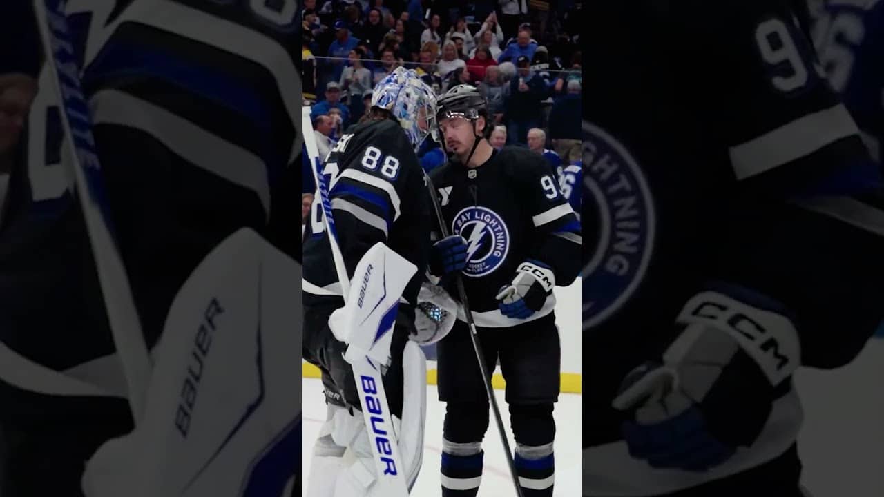 Happy National Hug your (BIG) Cat Day! #hockey #gobolts #tampabaylightning #nhl #sports #cats #vasy