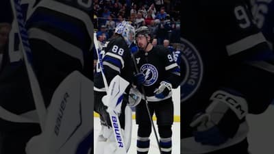 Happy National Hug your (BIG) Cat Day! #hockey #gobolts #tampabaylightning #nhl #sports #cats #vasy