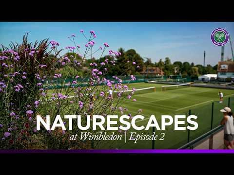 Wimbledon Naturescapes | 29 minutes of Peaceful Practice at Aorangi 😌