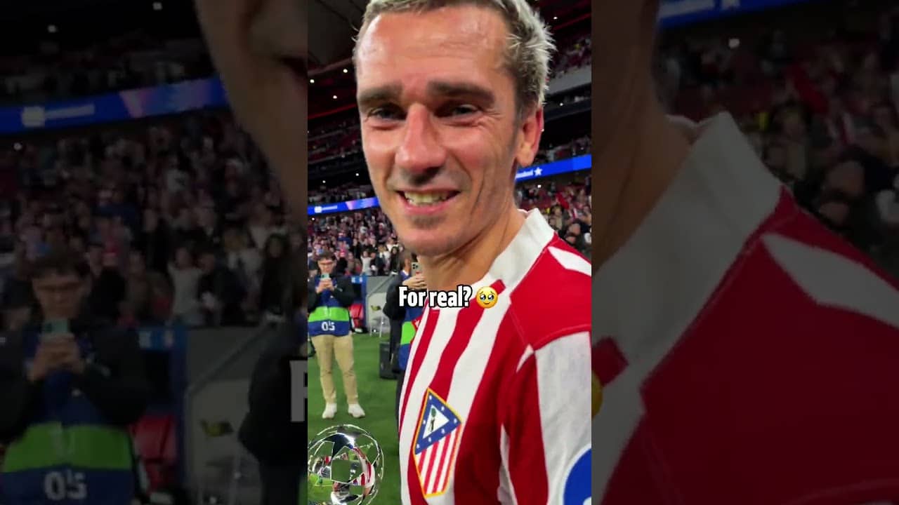 ๐ซ๐ท๐ MVP Grizi