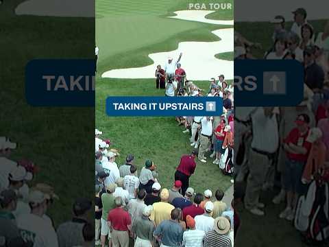 Tiger flop shot‼️