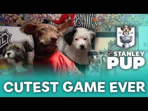 πΎπΆ 2026 Stanley Pup πΎπΆ | Featuring the Cutest Puppies You've Ever Seen!