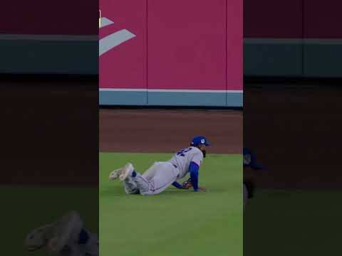Luis Robert Jr. makes the diving catch ๐ #baseball #mlb #nymets
