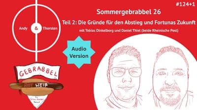 #124+1: Sommergebrabbel 26 – Teil 2: Die Gründe für den Abstieg und Fortunas Zukunft mit Tobias D...