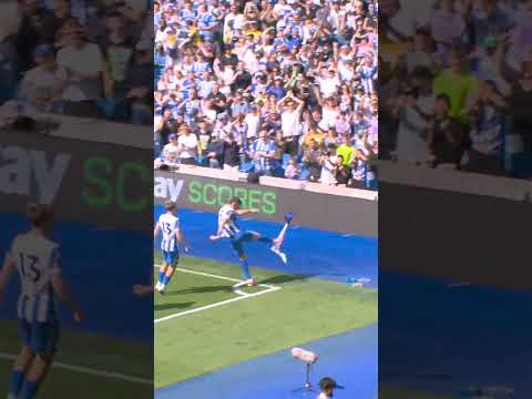 Dunk ๐ corner flag ๐ฉ ๐ฅ #brightonandhovealbion #lewisdunk