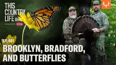 Brooklyn, Bradford, and Butterflies | This Country Life Ep. 461