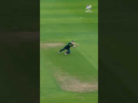 Gorgeous cover drive stopped by Sophie Molineux's stunner 👏 #T20WorldCup