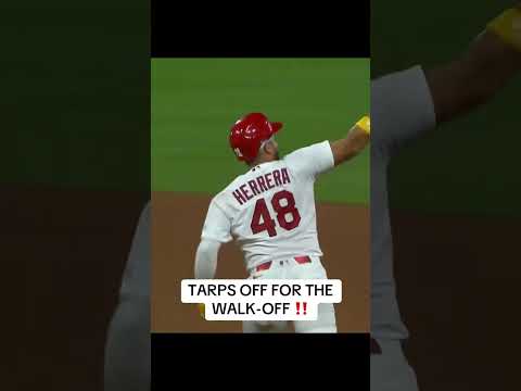 Cardinals have won 14 of their last 20 games š¤