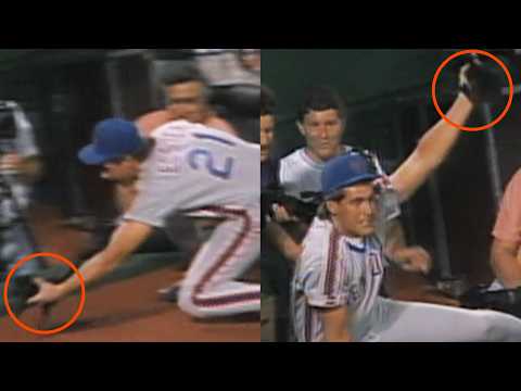Elster catches kitten on the field