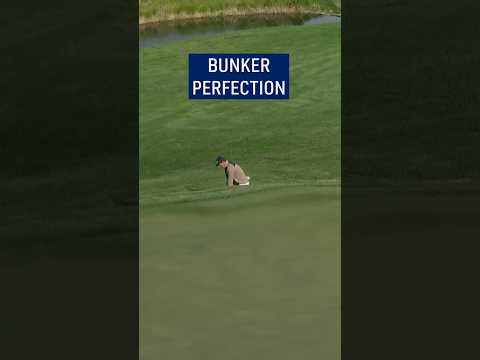 The PERFECT bunker shot! ๐