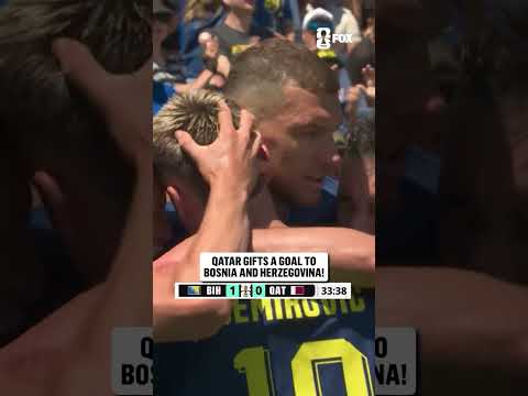 Edin Džeko with the volley to force the Qatar OWN GOAL