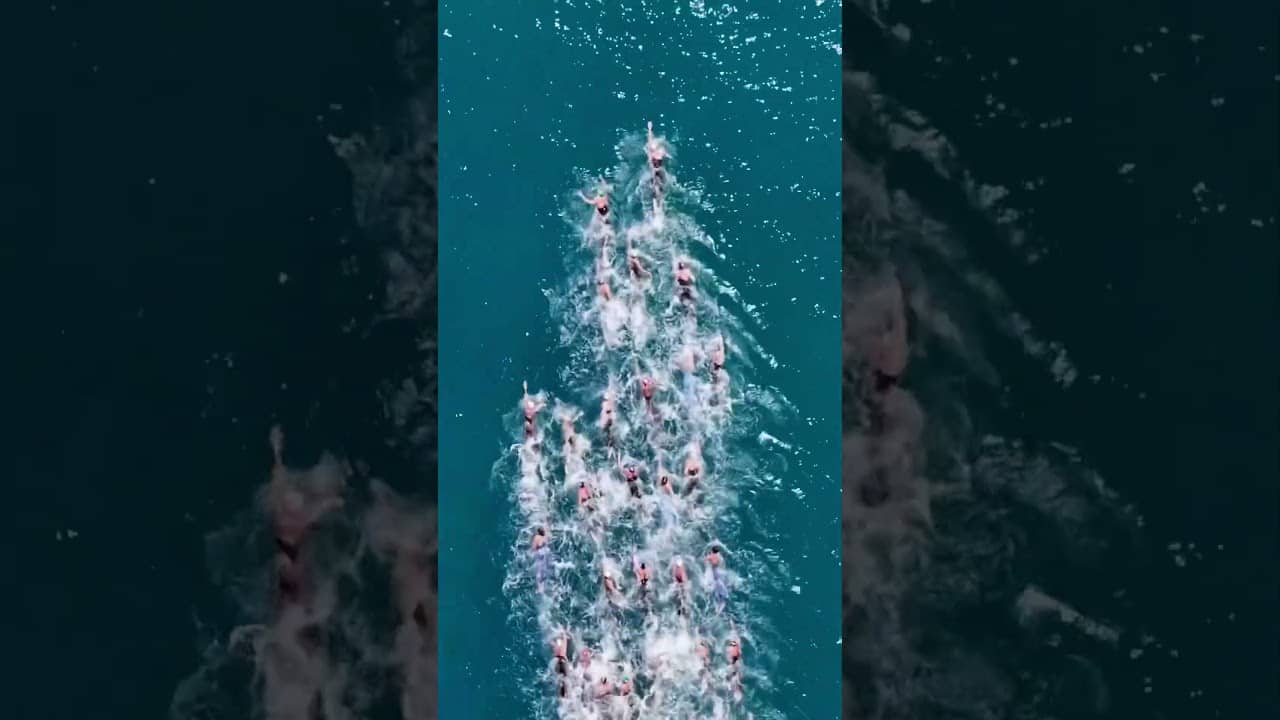 The beauty of Open Water Swimming ๐ #openwaterswimming #openwater #drone #sea #pov #dronevideo