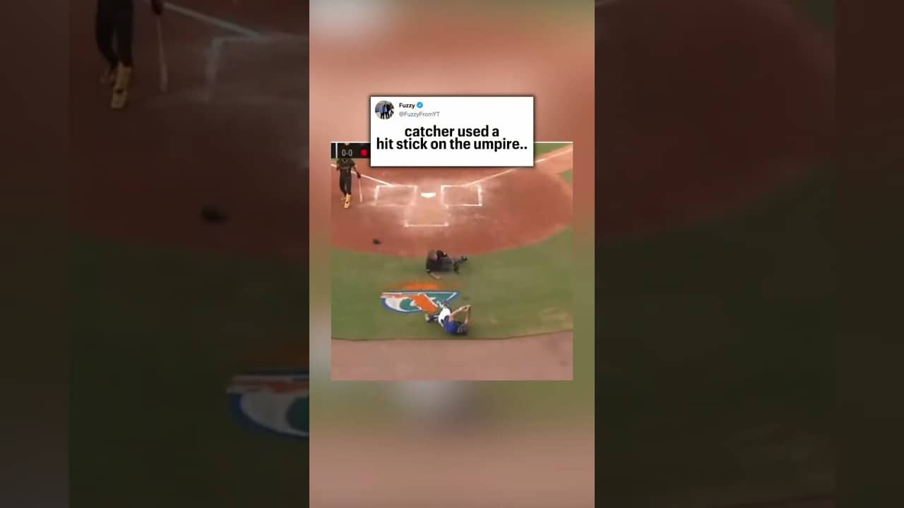 down goes the umpire 😭