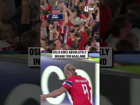 A goal 28 years in the making for these Norwegian fans π³π΄
