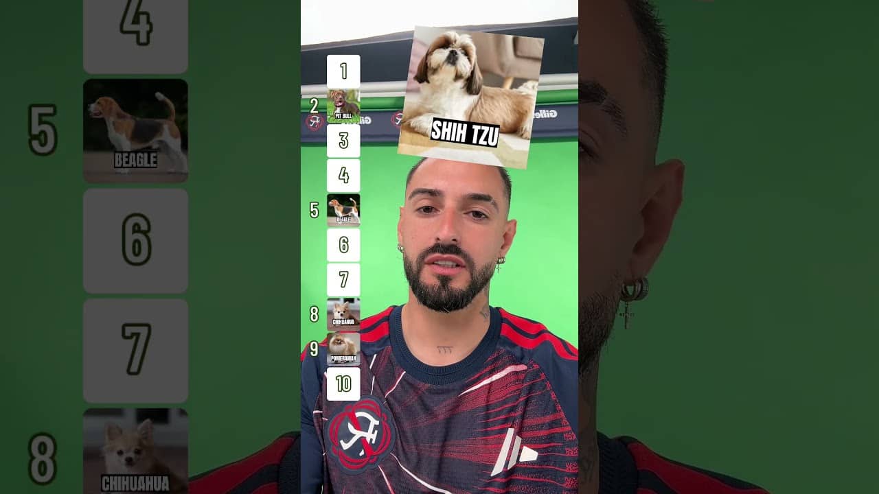 Asked our fav animal-lover to rank dogs! 🐾