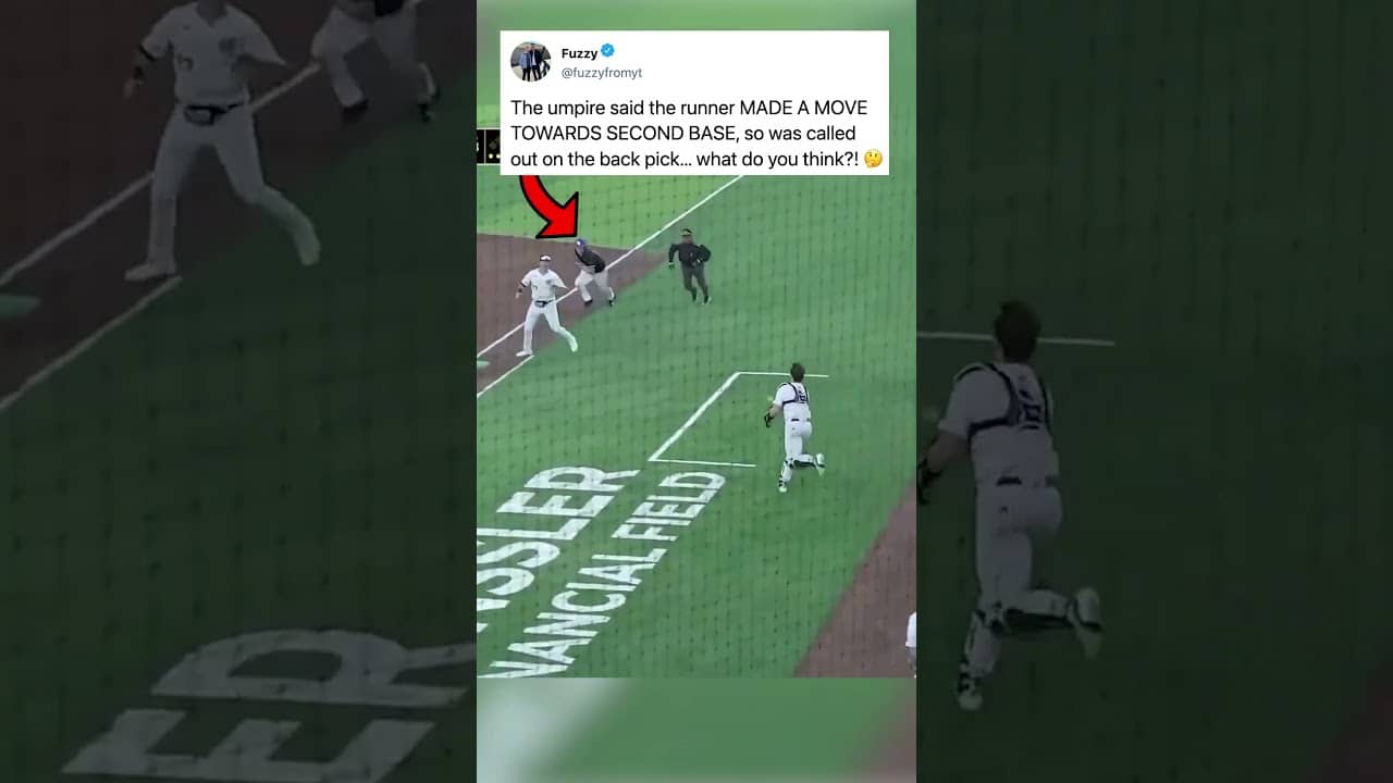 what was the umpire thinking... š