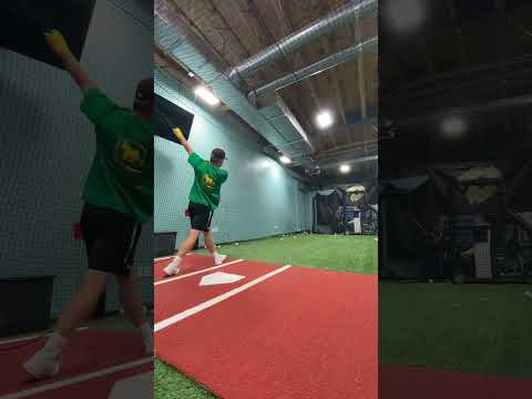 Guess that Bat 🤔🤔