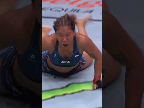 Grappling 101 #ufcmacau