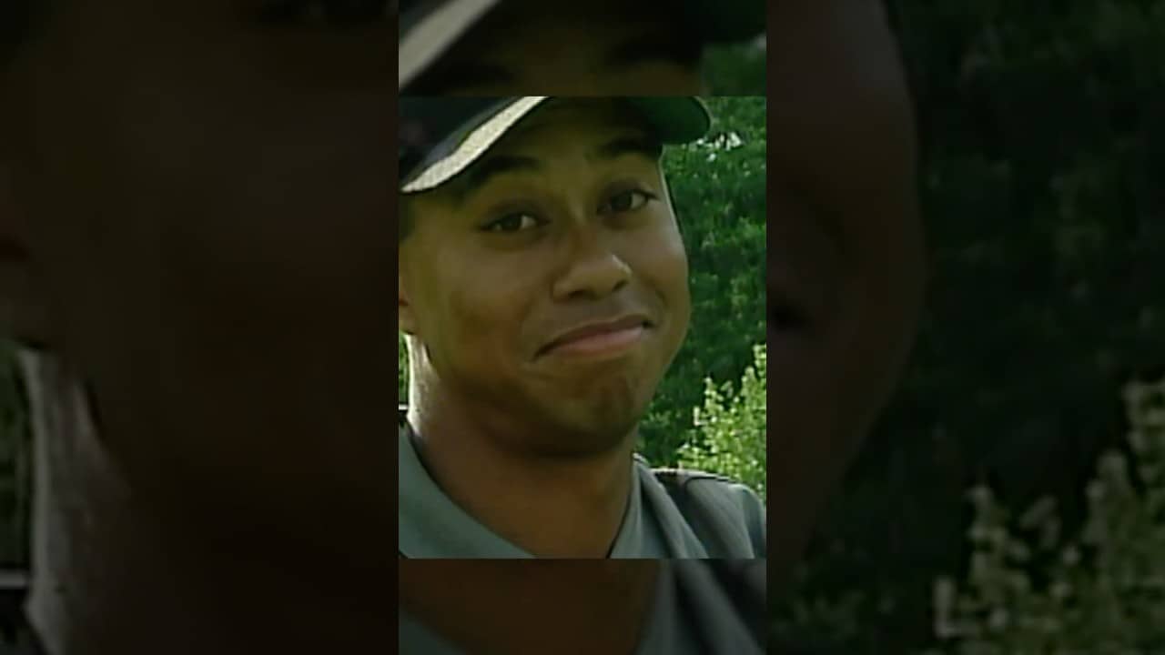 Tiger really said π€·ββοΈ