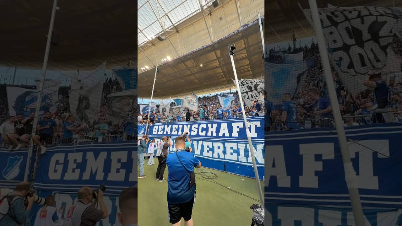 Wir sind alles Hoffema Jungs 🗣️ #Hoffenheim