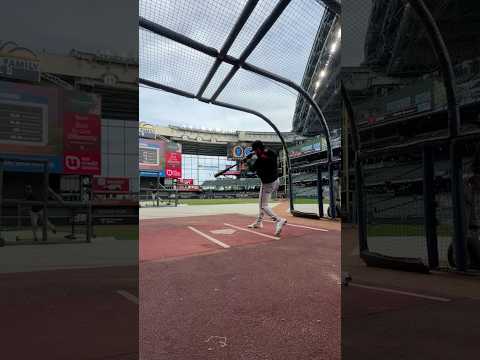 Luis Arraez swings are a thing of beauty ๐ผ๏ธ