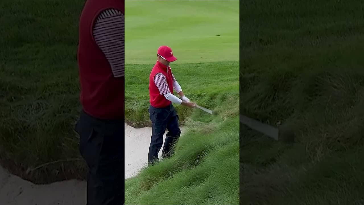 You *really* hate to see it...