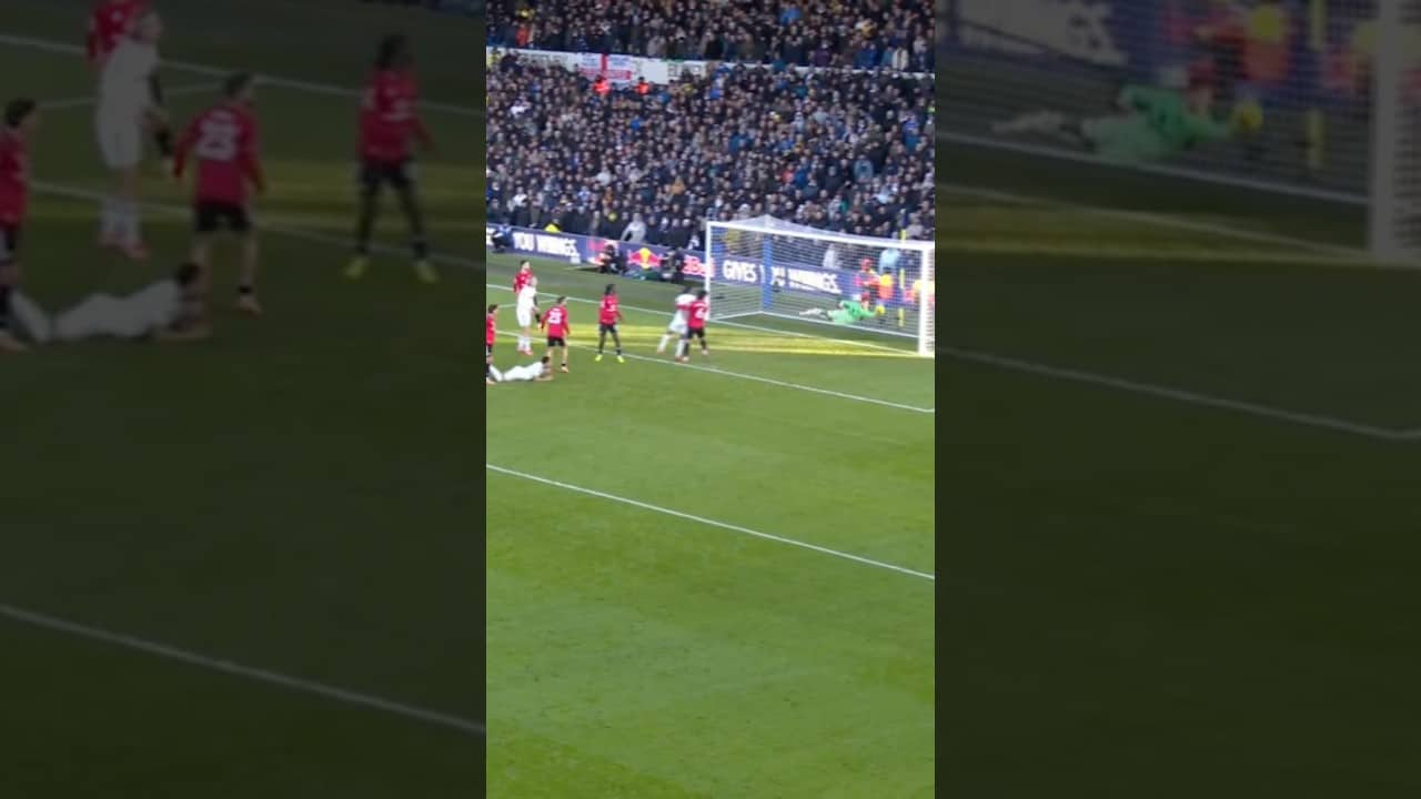 INCREDIBLE Dive By Senne! π€Ώπ²