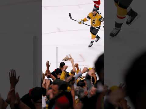 Howden Has 14 Playoff Goals 🤯