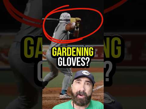 Gardening gloves to hit? #baseball