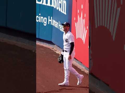 A catch you have to see to Belli-eve 👀😱 #baseball #yankees #catch #mlb