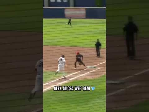 What a throw across the diamond by Louisville SS Alex Alicea 🔥 #louisvillecardinals #baseball