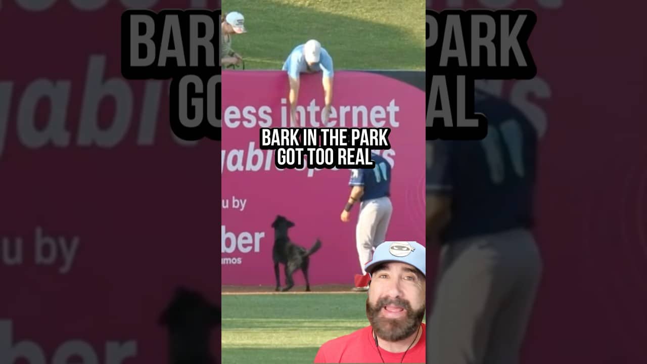 Peak Minor League baseball #baseball