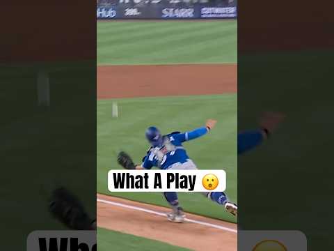 Brandon Valenzuela makes an incredible diving grab π #MLB #BlueJays
